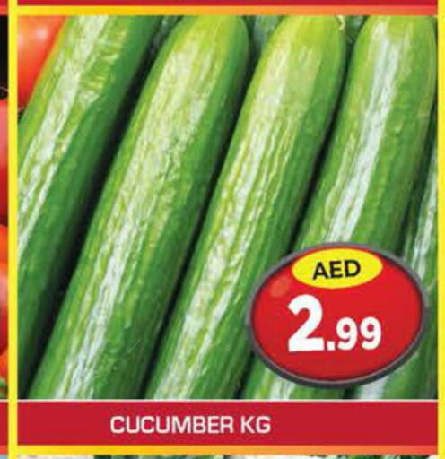  Cucumber  in سنابل بني ياس in الإمارات العربية المتحدة , الامارات - ٱلْعَيْن‎
