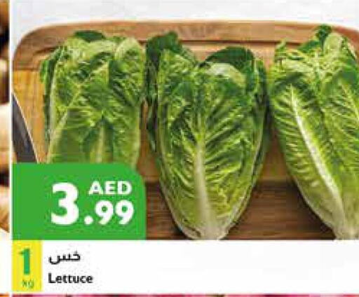  Cauliflower  in Istanbul Supermarket in UAE - Abu Dhabi