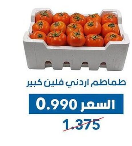  Tomato  in جمعية ضاحية عبدالله السالم والمنصورية التعاونية in الكويت - محافظة الجهراء