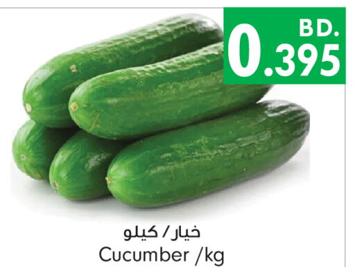 Cucumber  in بحرين برايد in البحرين