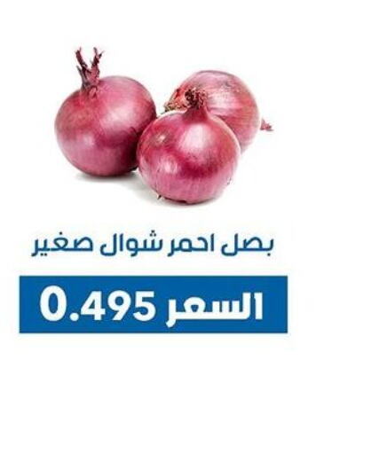  Onion  in Dahiyat Abdullah Al Salem and Mansourieh Cooperative Society in Kuwait - Ahmadi Governorate