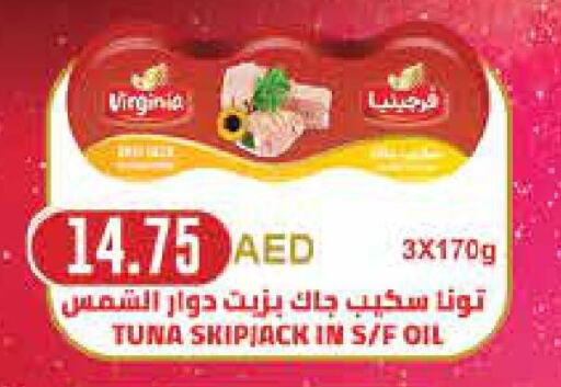  Tuna - Canned  in سبار هايبرماركت in الإمارات العربية المتحدة , الامارات - ٱلْعَيْن‎
