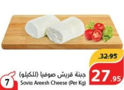 PANDA Cheddar Cheese  in هايبر بنده in مملكة العربية السعودية, السعودية, سعودية - أبها