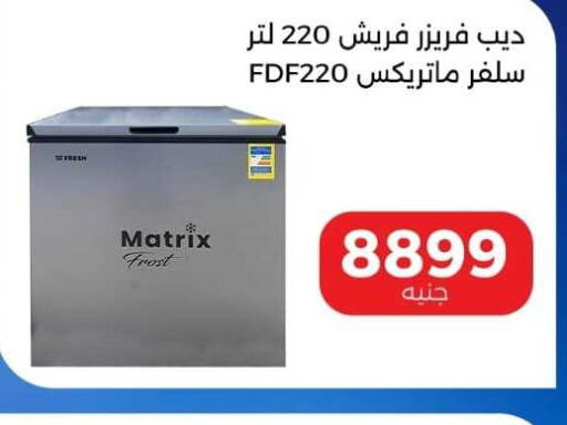  Freezer  in Al Masreen group in Egypt - Cairo