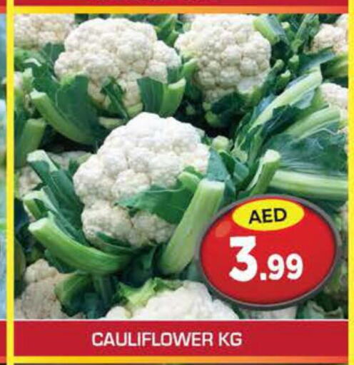  Cauliflower  in سنابل بني ياس in الإمارات العربية المتحدة , الامارات - أم القيوين‎