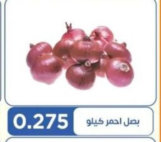  Onion  in Eshbelia Co-operative Society in Kuwait - Kuwait City