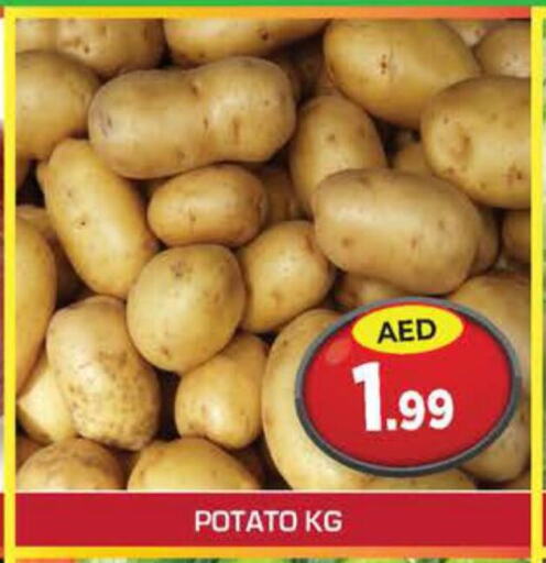  Potato  in سنابل بني ياس in الإمارات العربية المتحدة , الامارات - أم القيوين‎