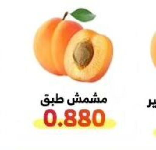  Carrot  in جمعية الوفرة التعاونية in الكويت - محافظة الأحمدي
