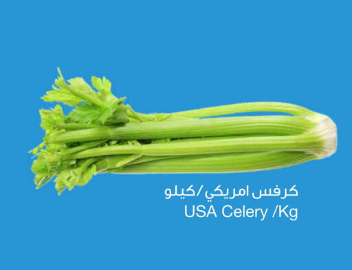  Celery  in Sultan Center  in Oman - Sohar