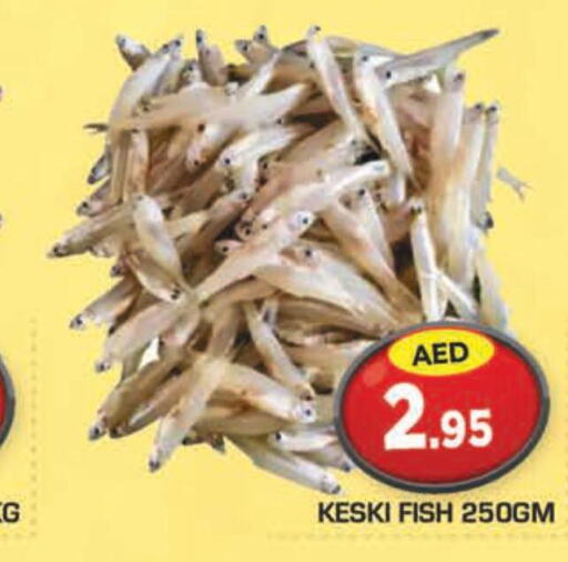  King Fish  in سنابل بني ياس in الإمارات العربية المتحدة , الامارات - ٱلْعَيْن‎
