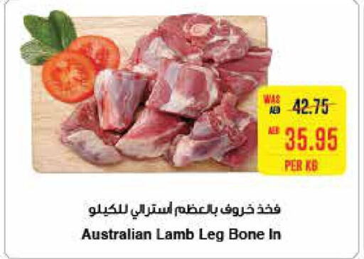  Mutton / Lamb  in سبار هايبرماركت in الإمارات العربية المتحدة , الامارات - ٱلْعَيْن‎