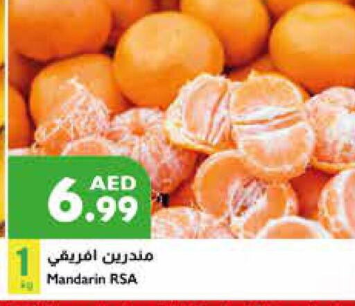  Orange  in Istanbul Supermarket in UAE - Al Ain