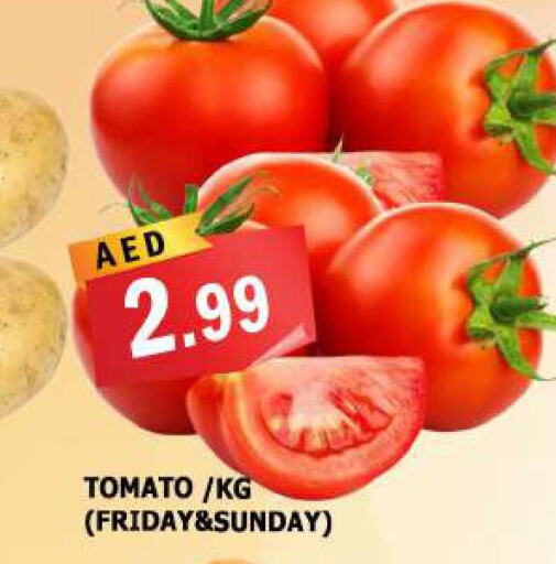  Tomato  in أزهر المدينة هايبرماركت in الإمارات العربية المتحدة , الامارات - الشارقة / عجمان