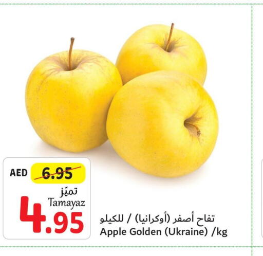  Apples  in تعاونية الاتحاد in الإمارات العربية المتحدة , الامارات - أبو ظبي