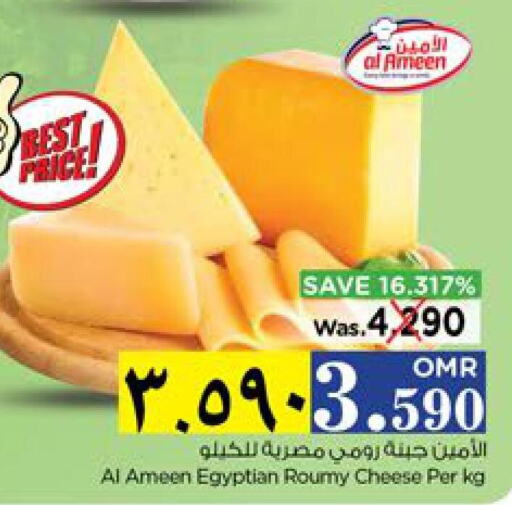 AL AMEEN Roumy Cheese  in نستو هايبر ماركت in عُمان - صلالة