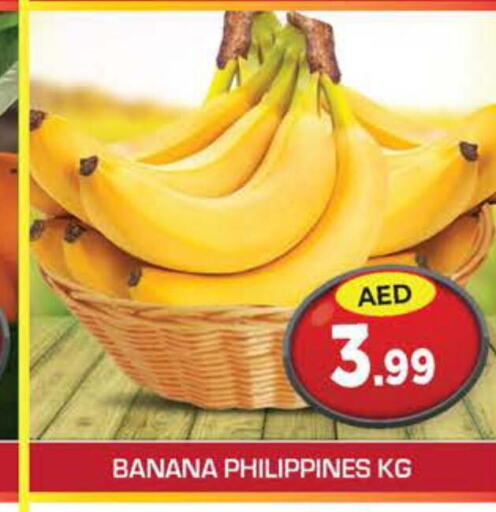  Banana  in سنابل بني ياس in الإمارات العربية المتحدة , الامارات - دبي