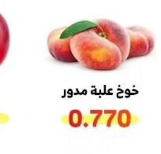  Peach  in جمعية الوفرة التعاونية in الكويت - محافظة الأحمدي