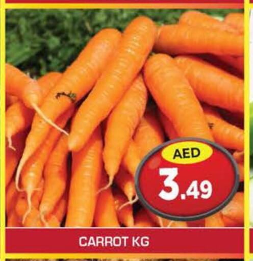  Carrot  in سنابل بني ياس in الإمارات العربية المتحدة , الامارات - أم القيوين‎