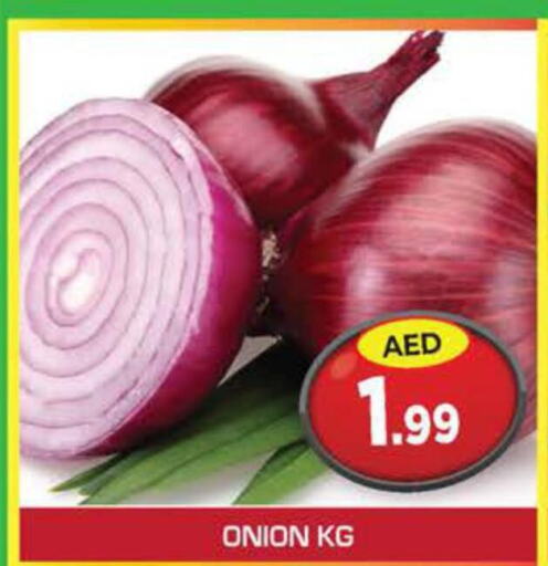  Onion  in سنابل بني ياس in الإمارات العربية المتحدة , الامارات - ٱلْعَيْن‎