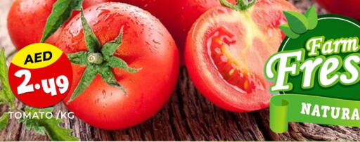  Tomato  in هايبر ماركت مينا المدينة in الإمارات العربية المتحدة , الامارات - الشارقة / عجمان