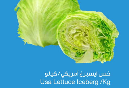  Celery  in Sultan Center  in Oman - Muscat