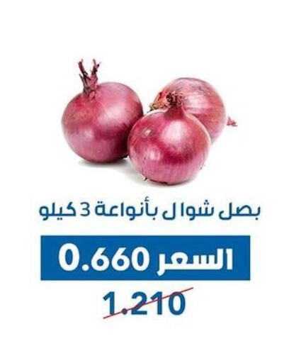  Onion  in Dahiyat Abdullah Al Salem and Mansourieh Cooperative Society in Kuwait - Ahmadi Governorate