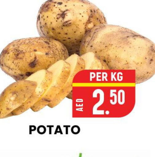  Potato  in الامل هايبرماركت in الإمارات العربية المتحدة , الامارات - رَأْس ٱلْخَيْمَة