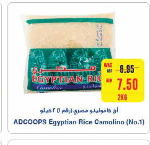  Egyptian / Calrose Rice  in سبار هايبرماركت in الإمارات العربية المتحدة , الامارات - رَأْس ٱلْخَيْمَة