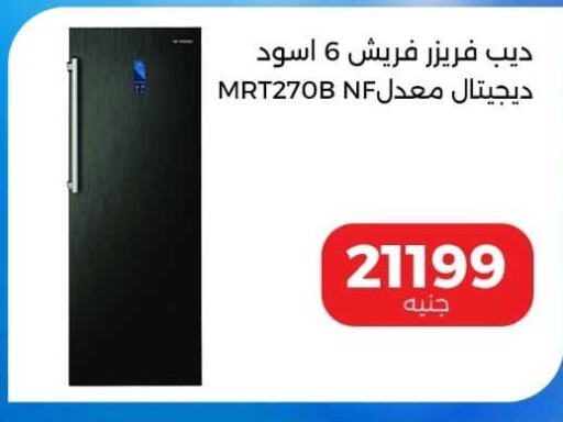  Freezer  in Al Masreen group in Egypt - Cairo