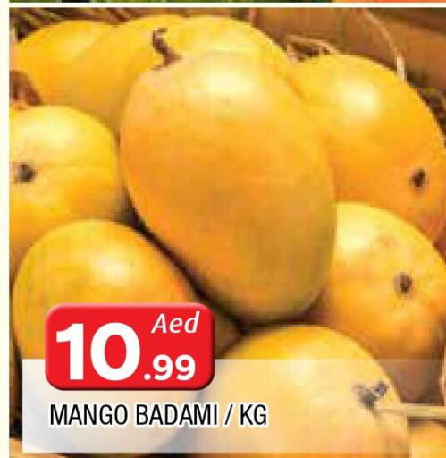  Mangoes  in AL MADINA in UAE - Sharjah / Ajman