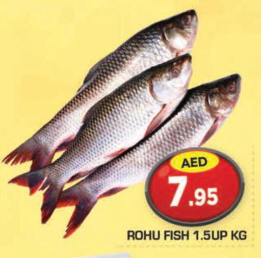  King Fish  in سنابل بني ياس in الإمارات العربية المتحدة , الامارات - أبو ظبي