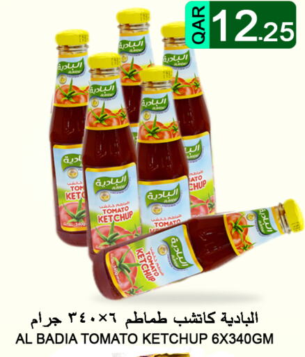  Tomato Ketchup  in Food Palace Hypermarket in Qatar - Al Khor