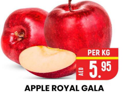  Apples  in الامل هايبرماركت in الإمارات العربية المتحدة , الامارات - رَأْس ٱلْخَيْمَة