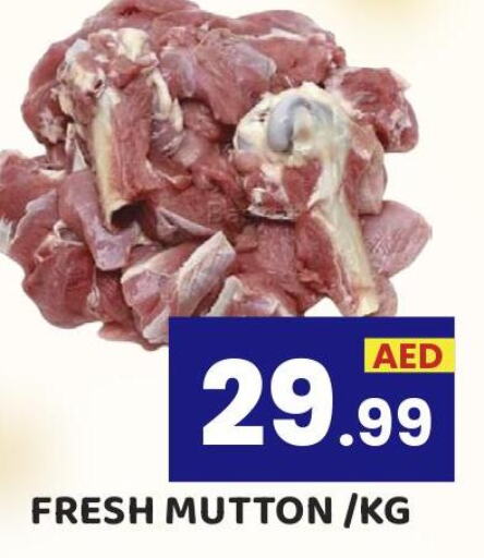  Mutton / Lamb  in Royal Grand Hypermarket LLC in UAE - Abu Dhabi