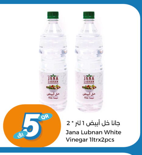  Vinegar  in City Hypermarket in Qatar - Al Khor