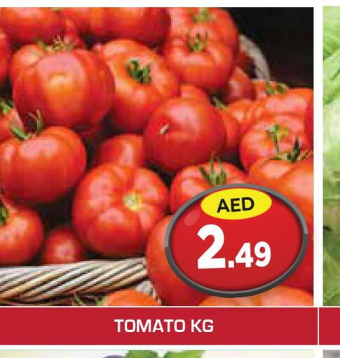  Tomato  in سنابل بني ياس in الإمارات العربية المتحدة , الامارات - رَأْس ٱلْخَيْمَة
