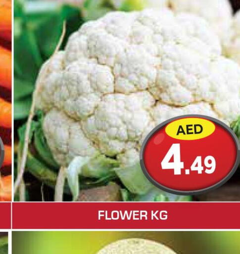  Cauliflower  in سنابل بني ياس in الإمارات العربية المتحدة , الامارات - رَأْس ٱلْخَيْمَة