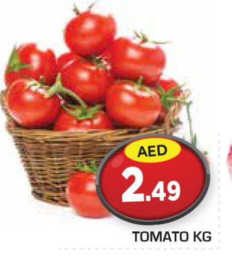  Tomato  in سنابل بني ياس in الإمارات العربية المتحدة , الامارات - أبو ظبي