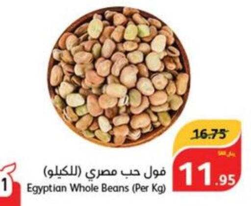  Fava Beans  in هايبر بنده in مملكة العربية السعودية, السعودية, سعودية - الدوادمي