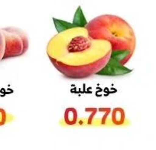  Peach  in جمعية الوفرة التعاونية in الكويت - محافظة الأحمدي