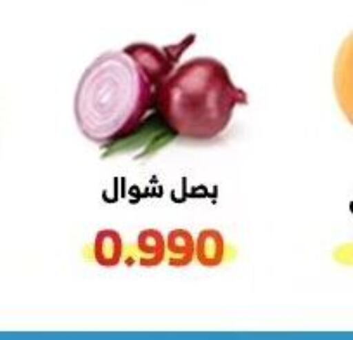  Onion  in جمعية الوفرة التعاونية in الكويت - محافظة الأحمدي