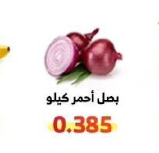  Onion  in جمعية الوفرة التعاونية in الكويت - محافظة الأحمدي