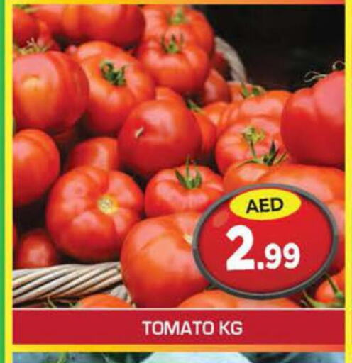 Tomato  in سنابل بني ياس in الإمارات العربية المتحدة , الامارات - أم القيوين‎
