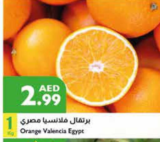  Orange  in Istanbul Supermarket in UAE - Abu Dhabi