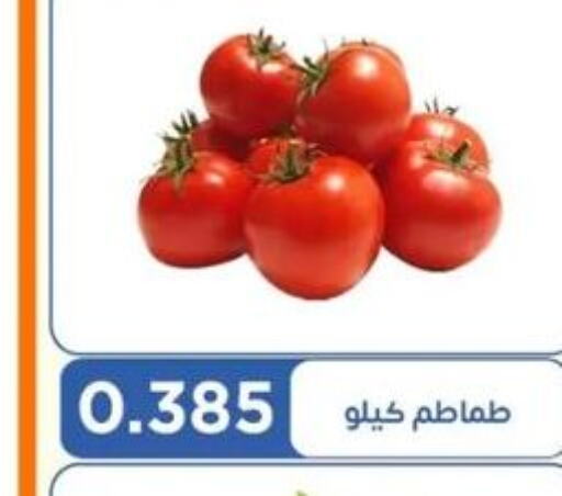  Tomato  in جمعية اشبيلية التعاونية in الكويت - مدينة الكويت