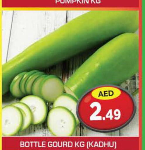  Gourd  in Baniyas Spike  in UAE - Umm al Quwain