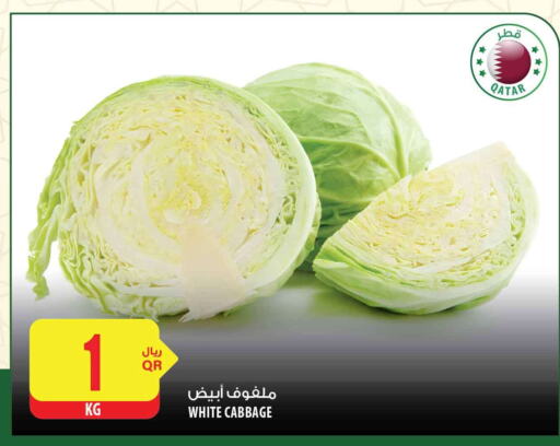  Cabbage  in شركة الميرة للمواد الاستهلاكية in قطر - الشمال