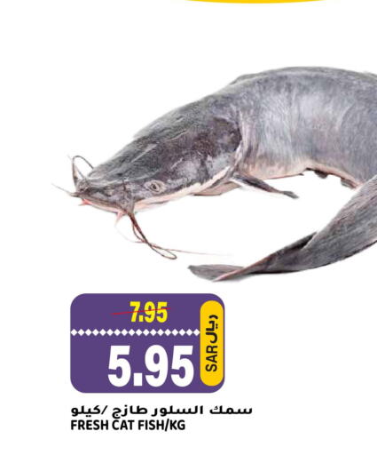  King Fish  in Grand Hyper in KSA, Saudi Arabia, Saudi - Riyadh