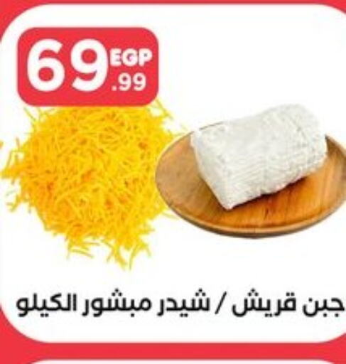  Cheddar Cheese  in MartVille in Egypt - Cairo