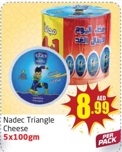 NADEC Triangle Cheese  in مركز دلتا in الإمارات العربية المتحدة , الامارات - الشارقة / عجمان